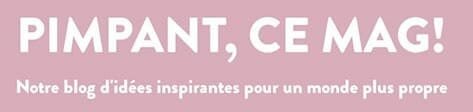 Blog Pimpant